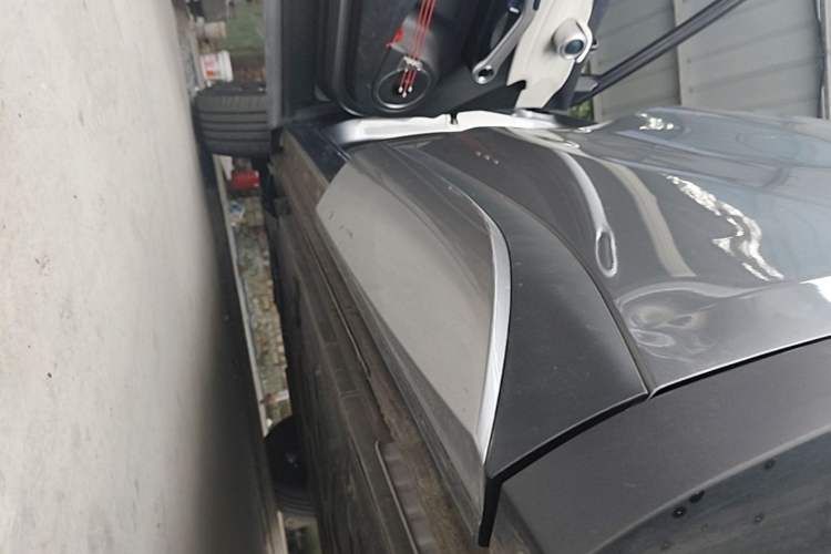 Used BYD Yuan PLUS 2022 510 km Luxury Version Left Side Sill