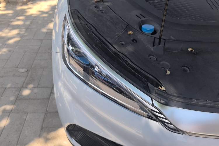 Used BYD Yuan PLUS 2022 510 km Flagship Version Right Front Headlight