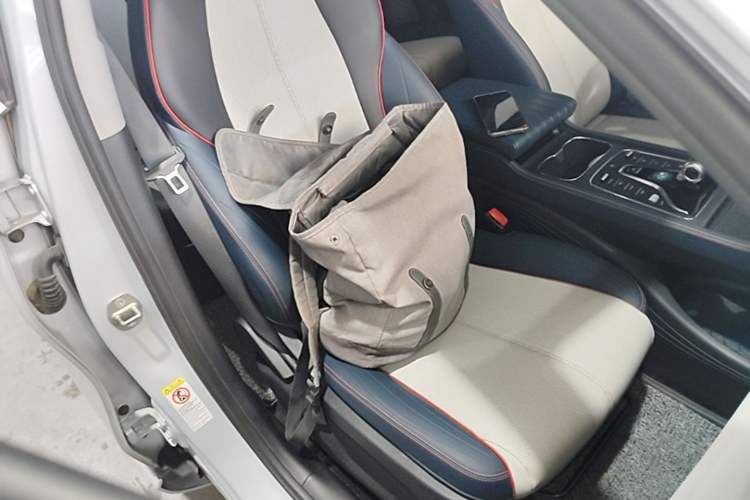 Used BYD Yuan PLUS 2022 510 km Luxury Version Right Front Seat