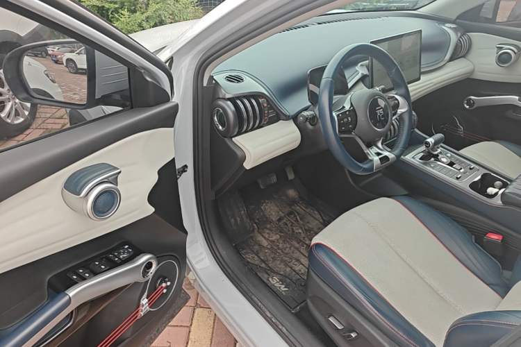 Used BYD Yuan PLUS 2022 510 km Flagship Version Driver Seat