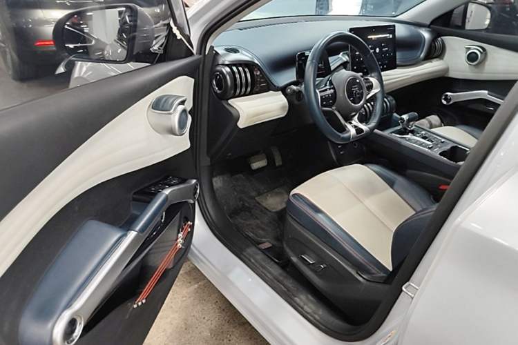 Used BYD Yuan PLUS 2022 510 km Luxury Version Driver Seat