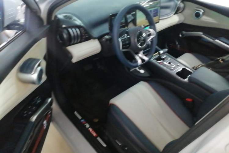 Used BYD Yuan PLUS 2022 510 km Flagship Version Driver Seat