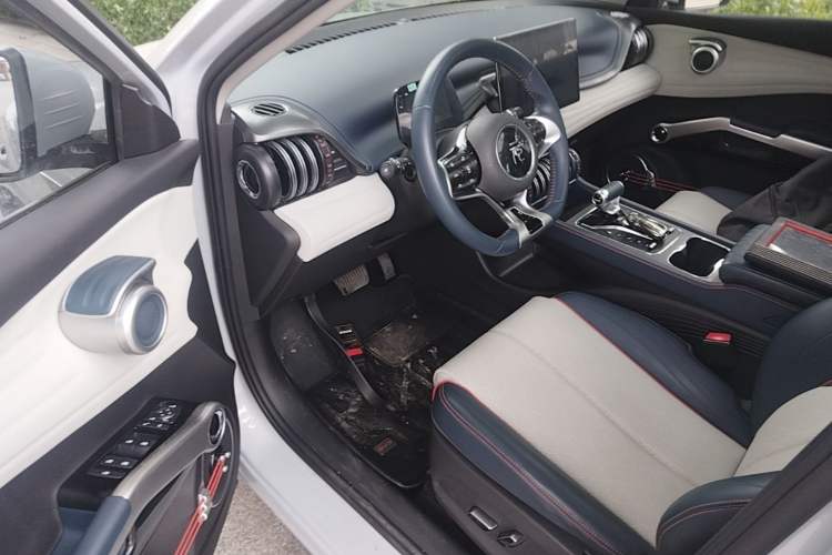 Used BYD Yuan PLUS 2022 510 km Flagship Version Driver Seat