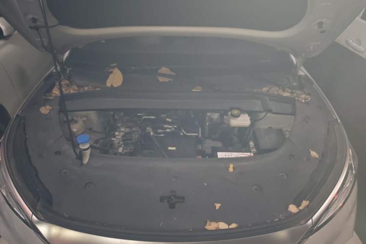 Used BYD Yuan PLUS 2022 510 km Luxury Version Engine Bay