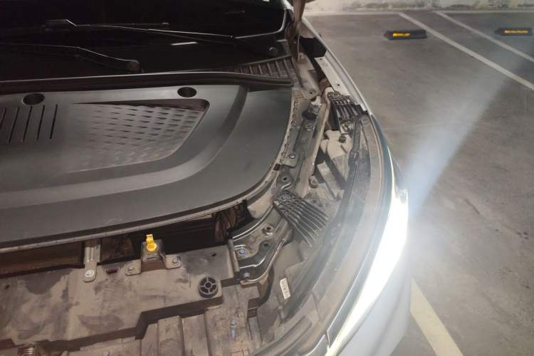 Used BYD Yuan PLUS 2022 510 km Flagship Version Engine Bay Left
