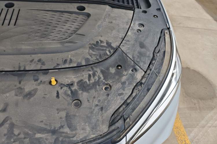 Used BYD Yuan PLUS 2022 510 km Flagship Version Engine Bay Left