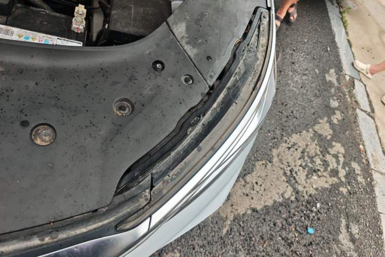 Used BYD Yuan PLUS 2022 510 km Luxury Version Engine Bay Left