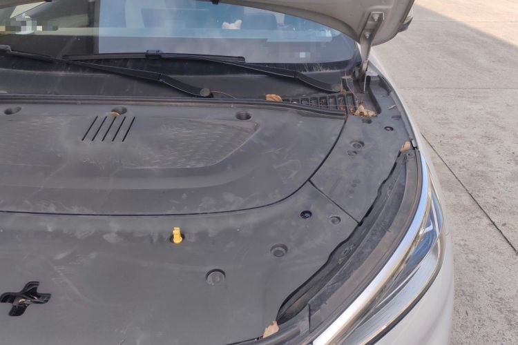 Used BYD Yuan PLUS 2022 510 km Flagship Version Engine Bay Left