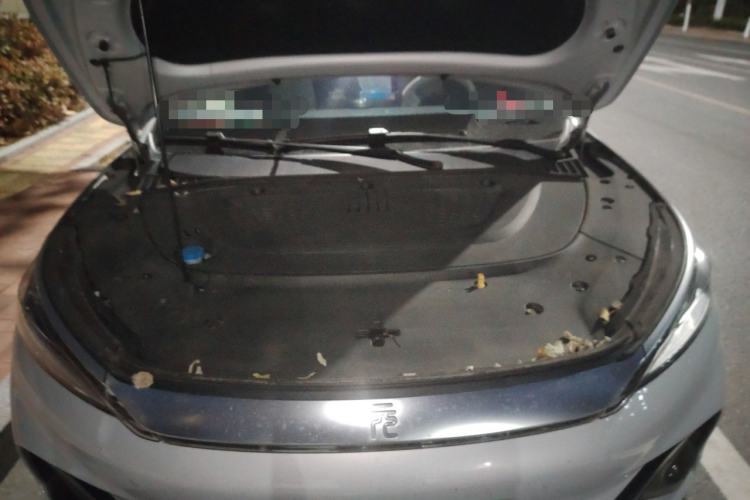 Used BYD Yuan PLUS 2022 510 km Flagship Version Engine Bay