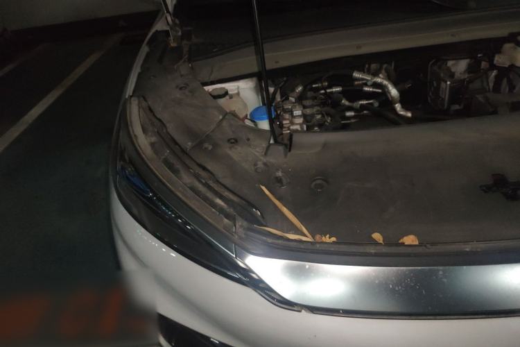 Used BYD Yuan PLUS 2022 430 km Luxury Version Engine Bay Right