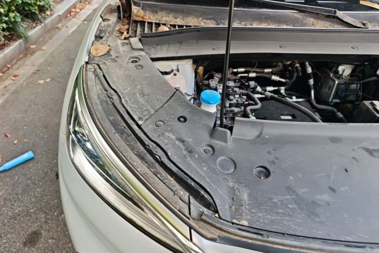 Used BYD Yuan PLUS 2022 510 km Luxury Version Engine Bay Right