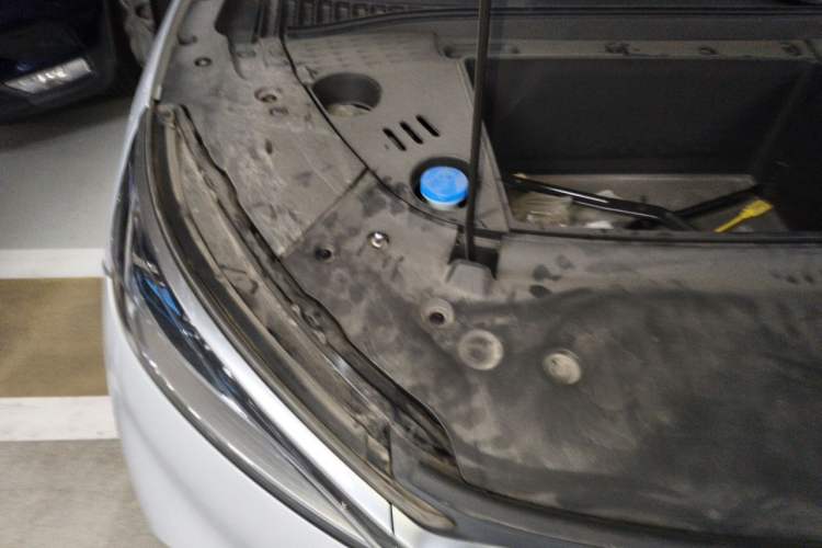 Used BYD Yuan PLUS 2022 510KM Flagship PLUS Engine Bay Right