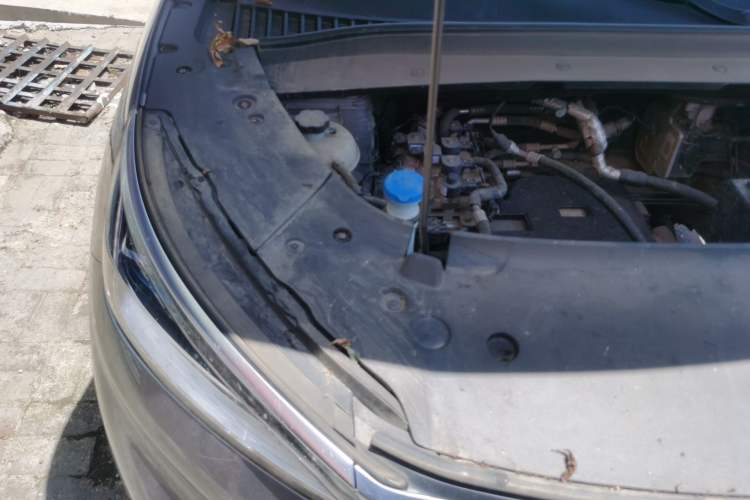 Used BYD Yuan PLUS 2022 430 km Luxury Version Engine Bay Right
