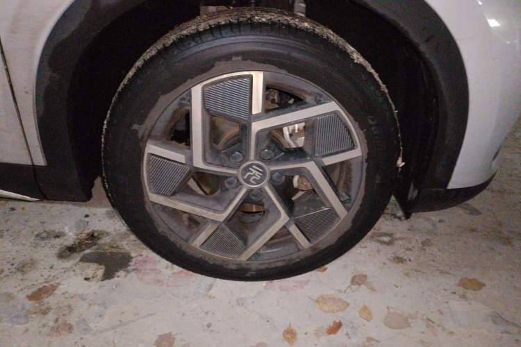 Used BYD Yuan PLUS 2022 510 km Flagship Version Exterior 1