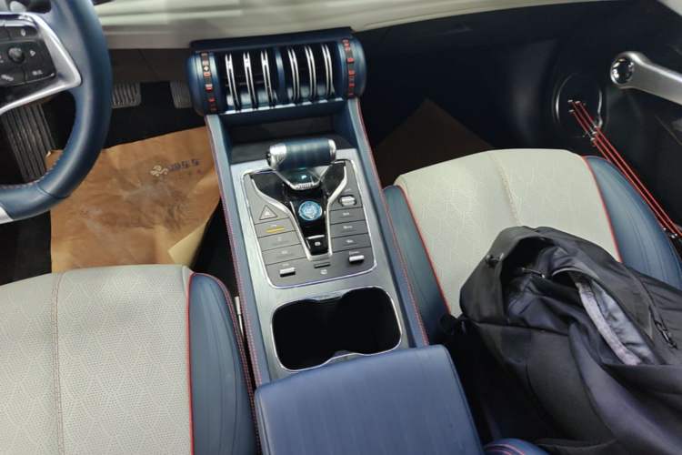 Used BYD Yuan PLUS 2022 510 km Luxury Version Gear Lever