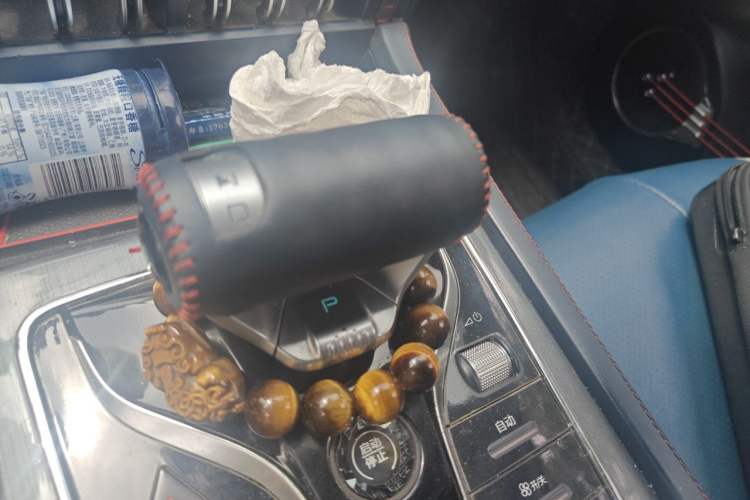 Used BYD Yuan PLUS 2022 510 km Luxury Version Gear Lever