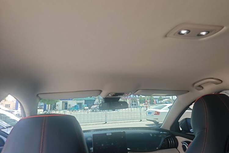 Used BYD Yuan PLUS 2022 510 km Luxury Version Headliner