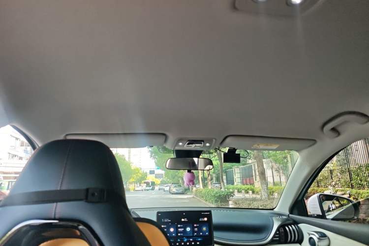 Used BYD Yuan PLUS 2022 510 km Luxury Version Headliner