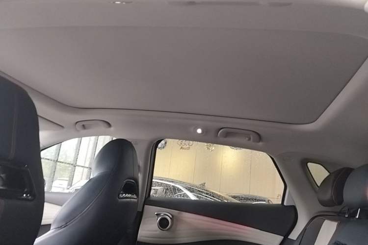 Used BYD Yuan PLUS 2022 430 km Luxury Version Headliner