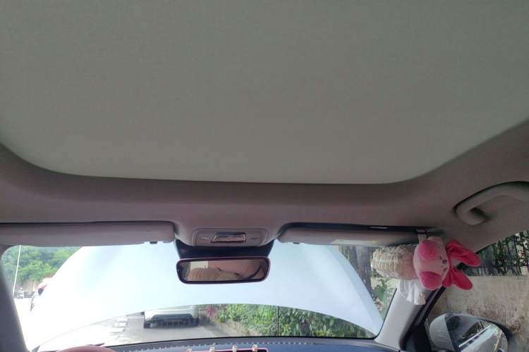 Used BYD Yuan PLUS 2022 510 km Flagship Version Headliner