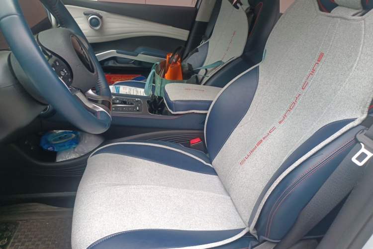 Used BYD Yuan PLUS 2022 510KM Flagship PLUS Left Front Seat
