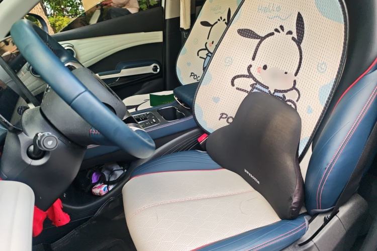 Used BYD Yuan PLUS 2022 510 km Luxury Version Left Front Seat