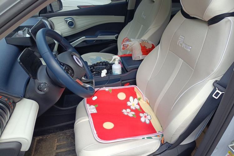 Used BYD Yuan PLUS 2022 430 km Luxury Version Left Front Seat