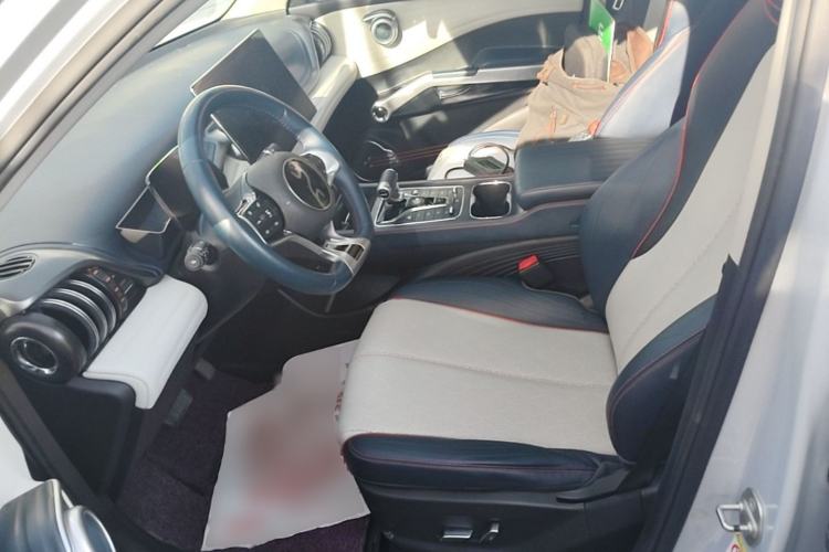 Used BYD Yuan PLUS 2022 510KM Flagship PLUS Left Front Seat