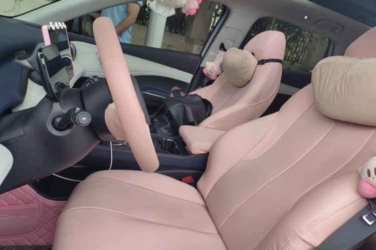 Used BYD Yuan PLUS 2022 510 km Flagship Version Left Front Seat