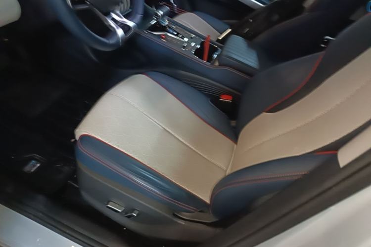 Used BYD Yuan PLUS 2022 510 km Flagship Version Left Front Seat