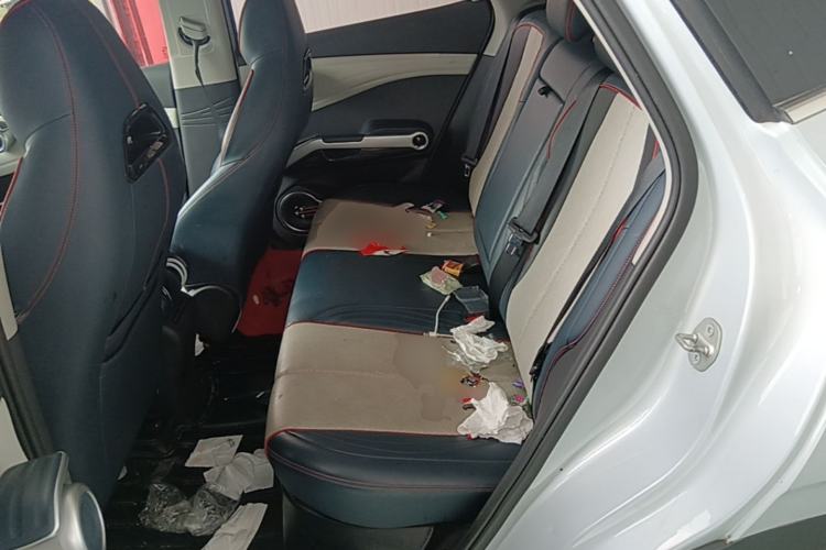 Used BYD Yuan PLUS 2022 430 km Luxury Version Left Rear Seat