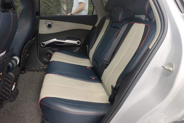 Used BYD Yuan PLUS 2022 510 km Flagship Version Left Rear Seat