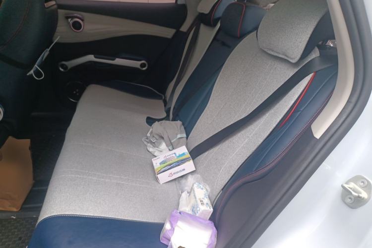 Used BYD Yuan PLUS 2022 510KM Flagship PLUS Left Rear Seat