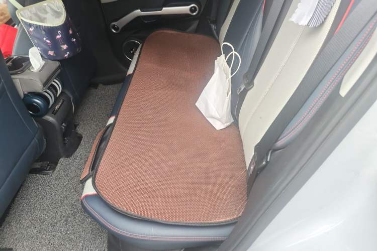 Used BYD Yuan PLUS 2022 510 km Luxury Version Left Rear Seat