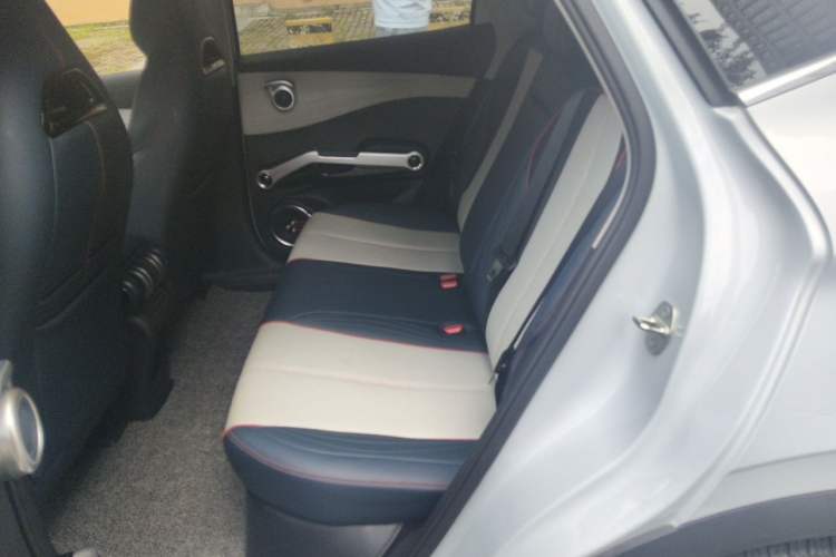 Used BYD Yuan PLUS 2022 510 km Luxury Version Left Rear Seat