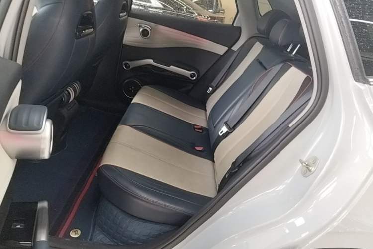 Used BYD Yuan PLUS 2022 430 km Luxury Version Left Rear Seat