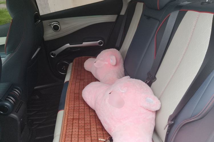 Used BYD Yuan PLUS 2022 430 km Luxury Version Left Rear Seat
