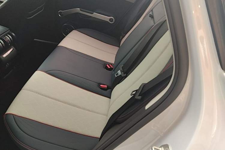 Used BYD Yuan PLUS 2022 510 km Flagship Version Left Rear Seat