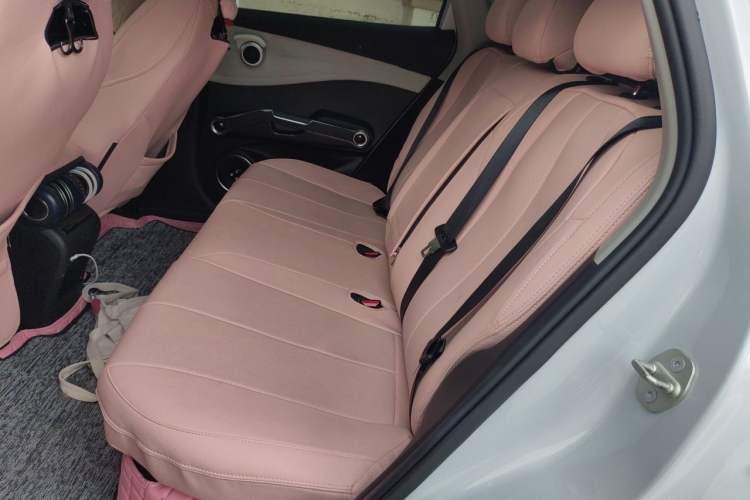 Used BYD Yuan PLUS 2022 510 km Flagship Version Left Rear Seat