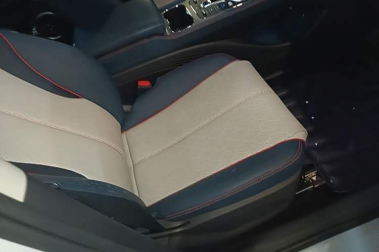 Used BYD Yuan PLUS 2022 510 km Flagship Version Right Front Seat