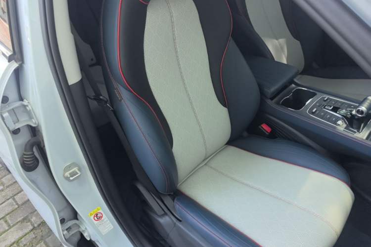 Used BYD Yuan PLUS 2022 510 km Luxury Version Right Front Seat
