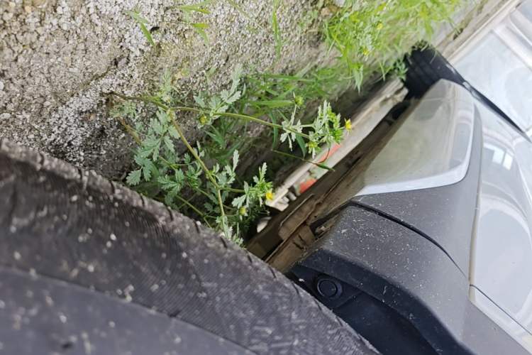 Used BYD Yuan PLUS 2022 430 km Luxury Version Right Side Sill