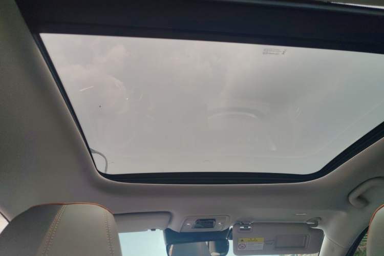 Used BYD Yuan PLUS 2023 Champion Edition 510KM Superior Model Headliner