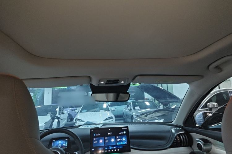 Used BYD Yuan PLUS 2023 Champion Edition 510KM Superior Model Headliner