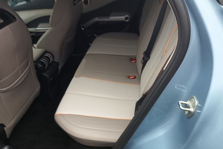 Used BYD Yuan PLUS 2023 Champion Edition 510KM Excellence Model Left Rear Seat