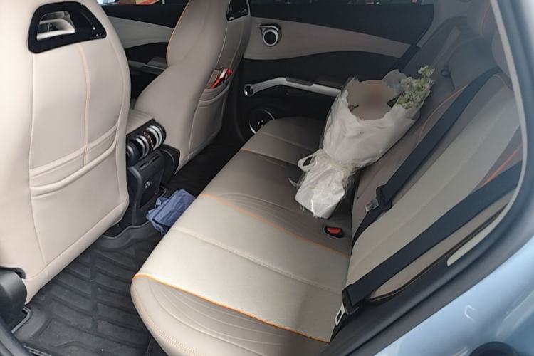 Used BYD Yuan PLUS 2023 Champion Edition 510KM Excellence Model Left Rear Seat