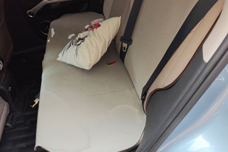 Used BYD Yuan PLUS 2023 Champion Edition 510KM Superior Model Left Rear Seat