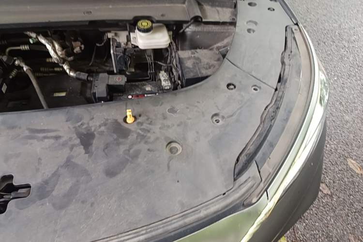 Used BYD Yuan PLUS 2023 Champion Edition 430KM Leading Model Engine Bay Left
