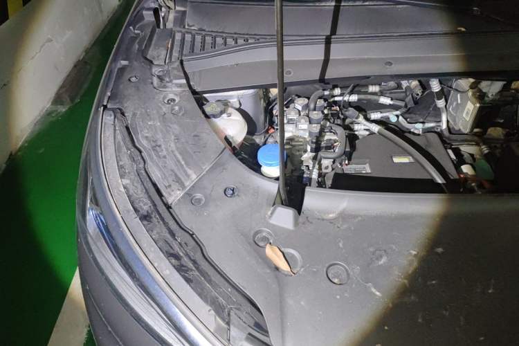 Used BYD Yuan PLUS 2023 Champion Edition 510KM Leading Model Engine Bay Right
