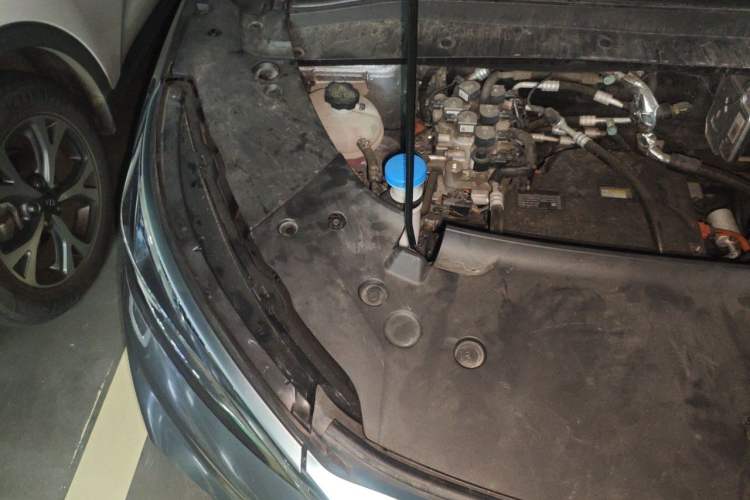 Used BYD Yuan PLUS 2023 Champion Edition 430KM Leading Model Engine Bay Right